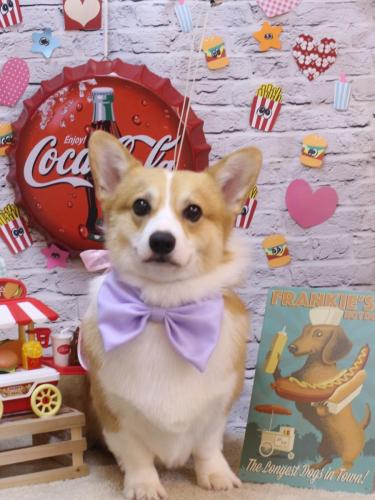 20230902こぺまるくん